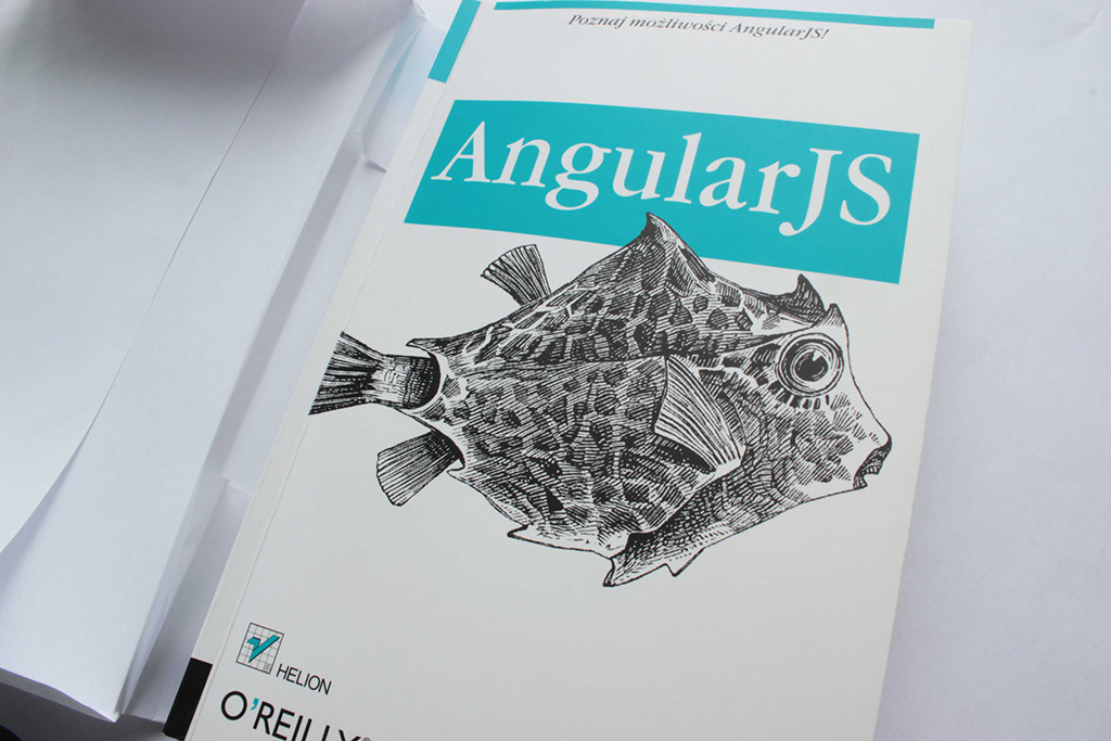 Book: AngularJS